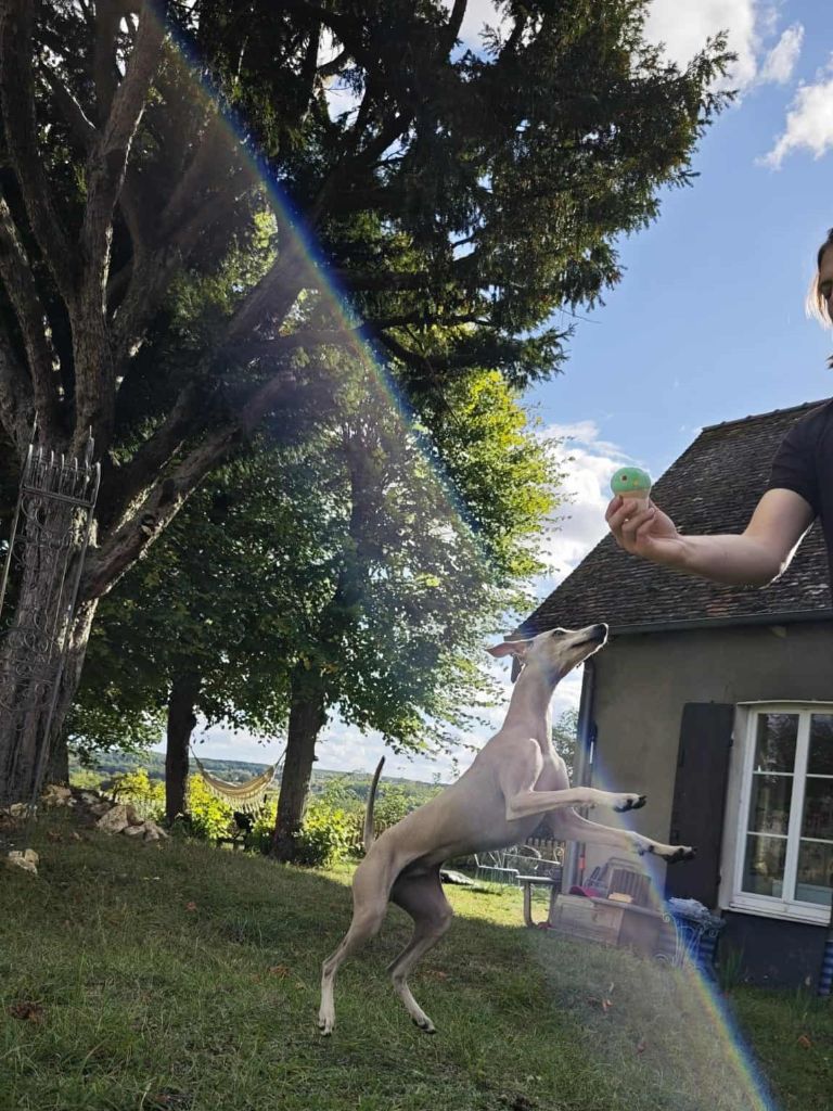 Anakin des princes de minos