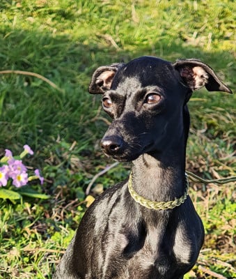 Des Petites Bouilles D’Eole