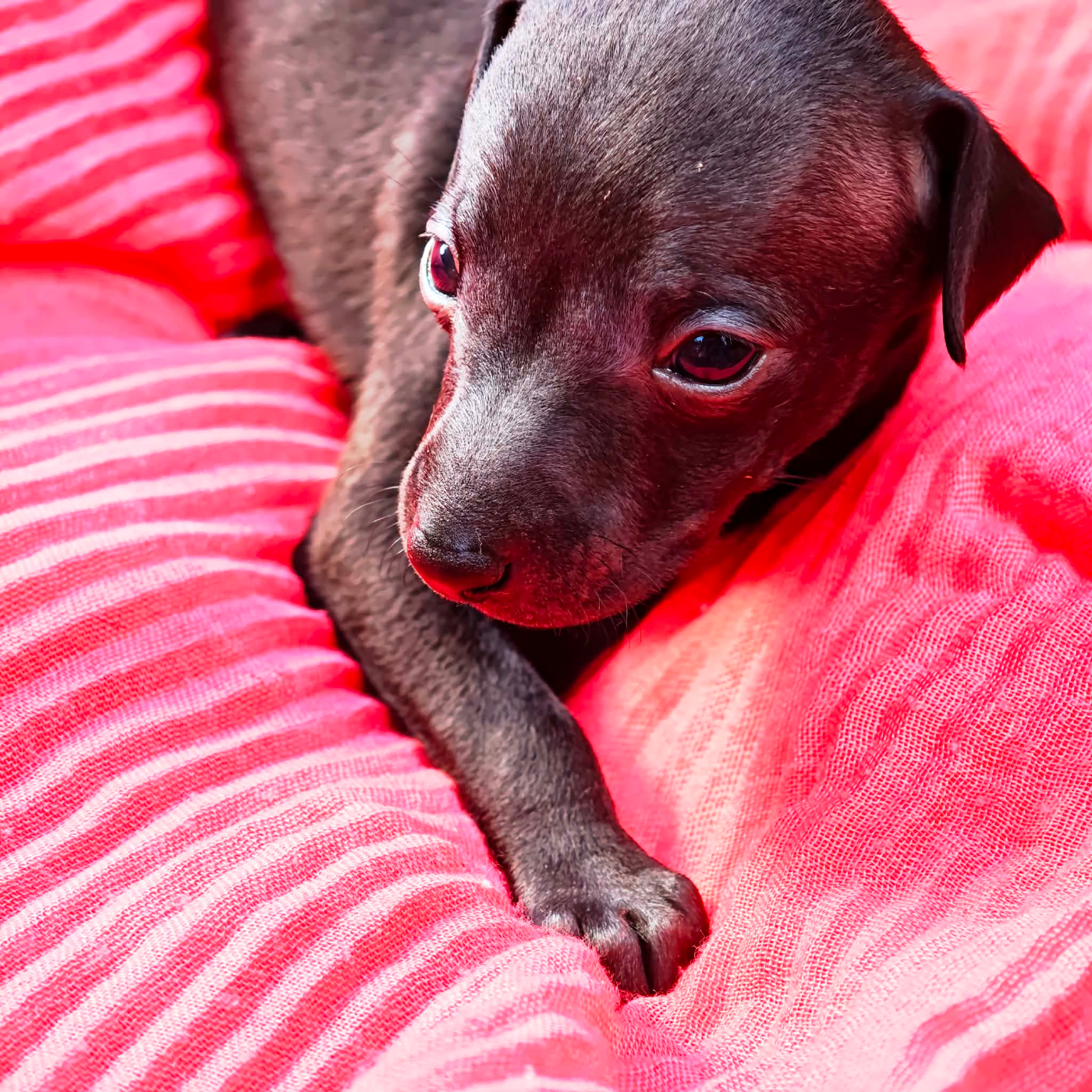 Bambina Valentina