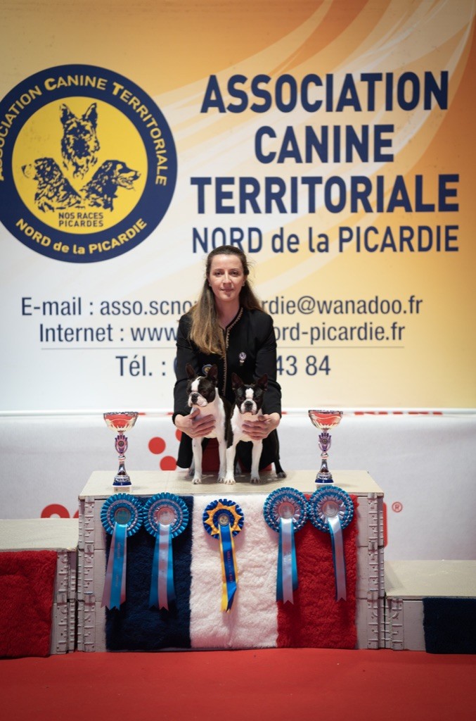 Rebelle girl Du Domaine D'Auberive - 1 EXCELLENT CACS MEILLEUR DE RACE