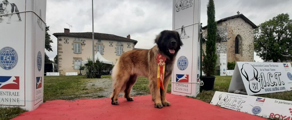 CH. Toscane de la Vallée des Goganes