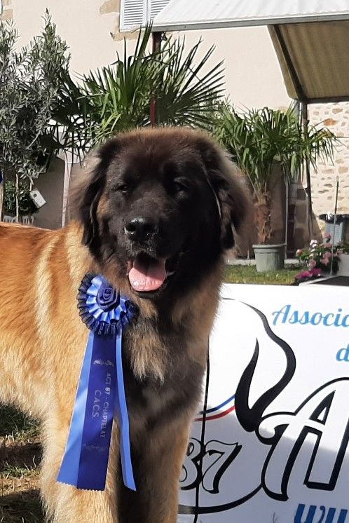 CH. Toscane de la Vallée des Goganes