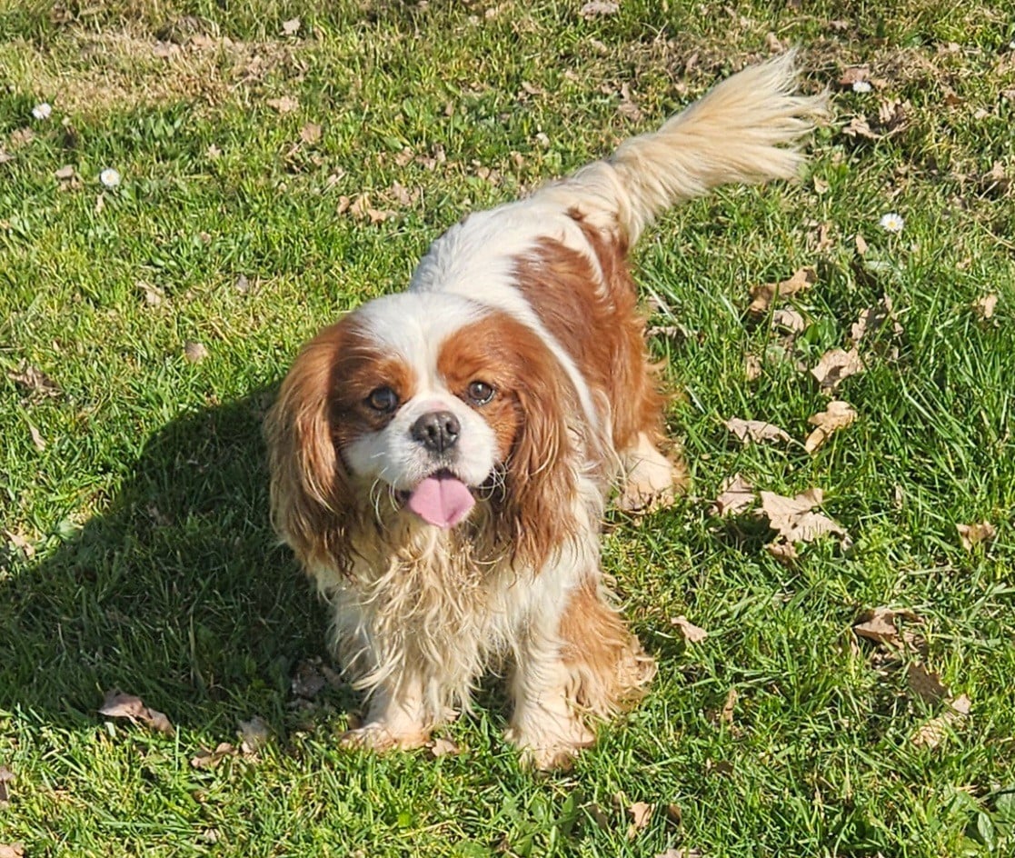 UGGY de l'eden de malizia