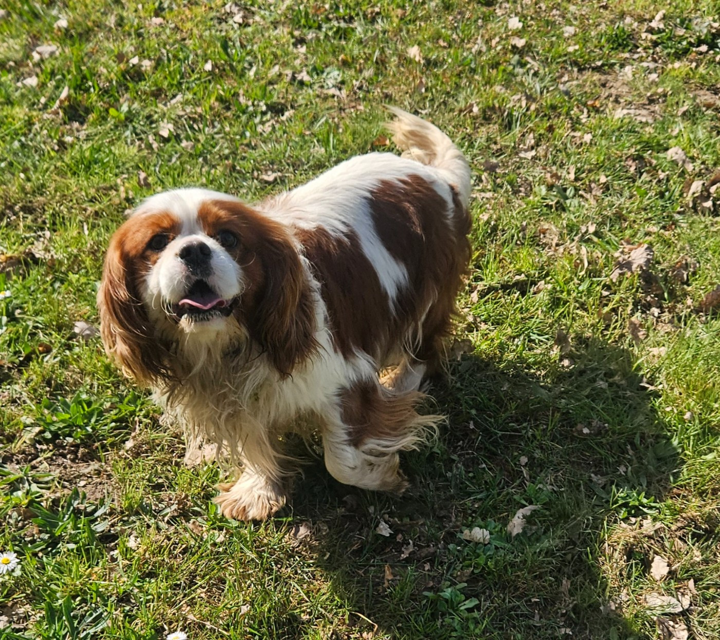 UGGY de l'eden de malizia