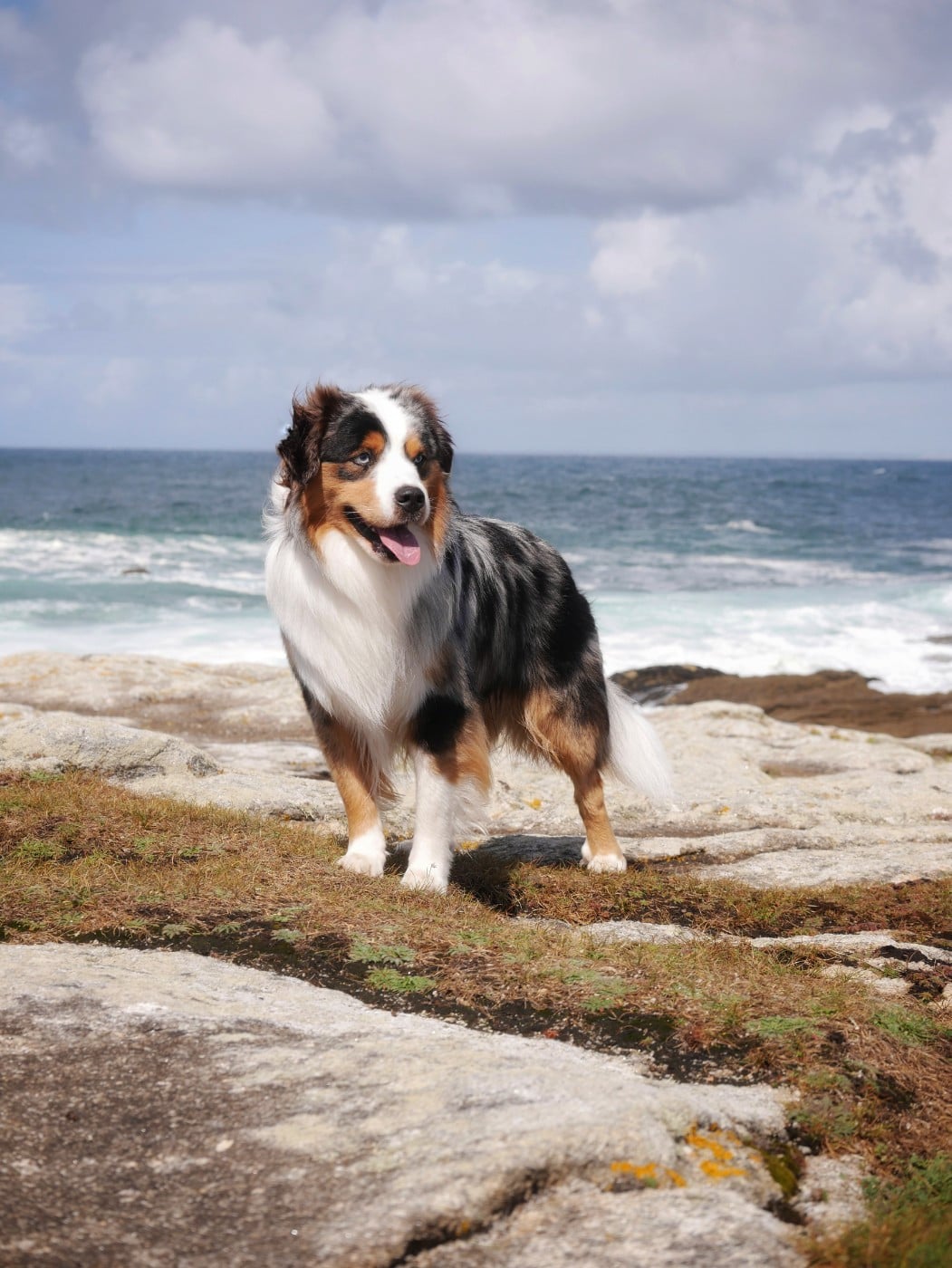 Publication : D'Asubakatchin Auteur : Asubakatchin