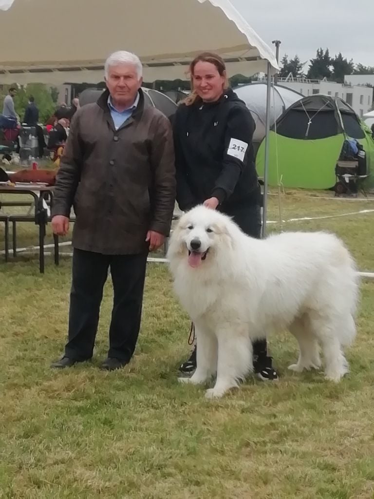 CH. Misky des Ecuries du Conti - 1er EXC MEILLEUR DE RACE