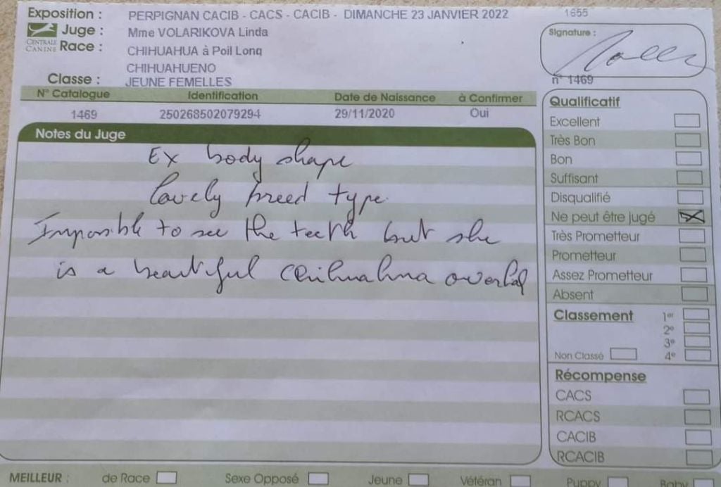 Rosebud beauty De L'Ecrin Vert - Non jugée