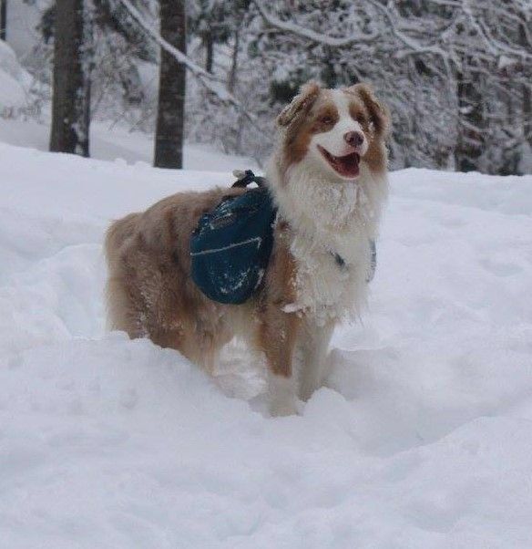 Publication : (Sans Affixe) Auteur : proprietaire