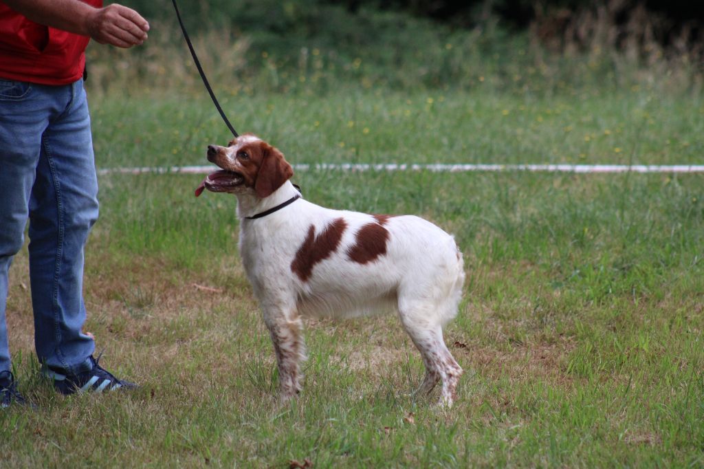 Neska De Los Majadales