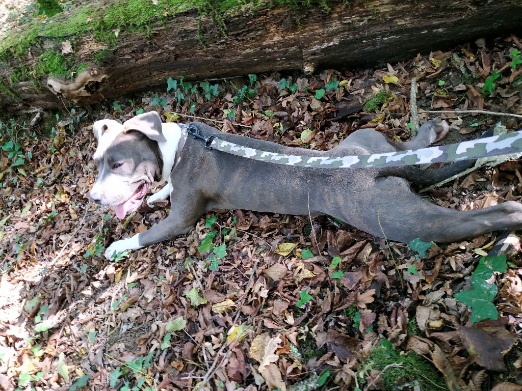 Publication : (Sans Affixe)