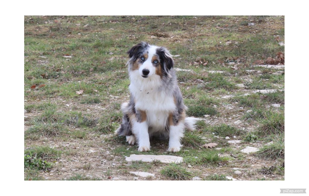 Totale eclips angel mazekeen Of Brotherly Love B