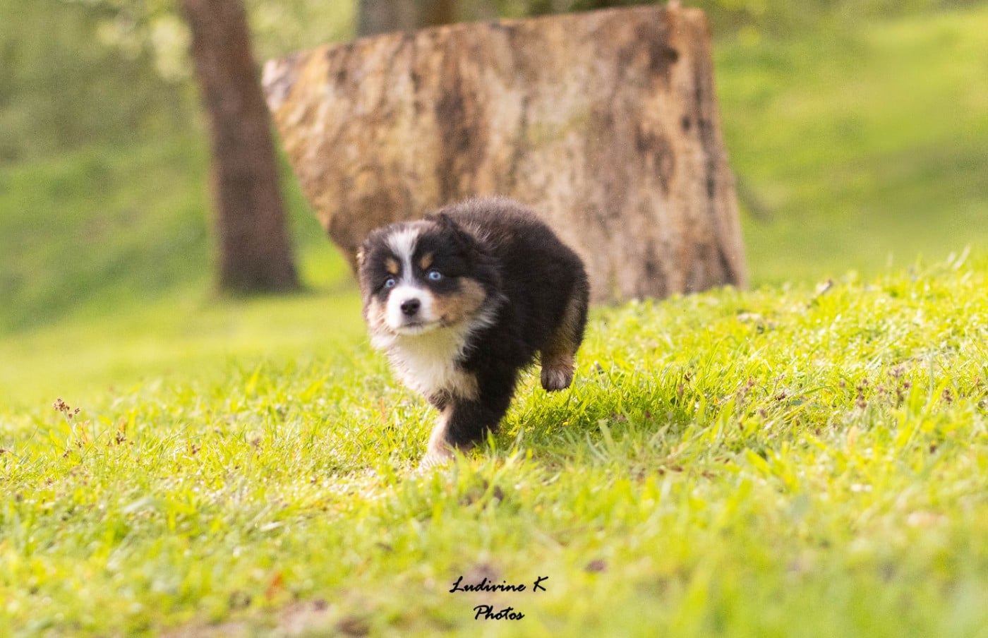 PIXEL