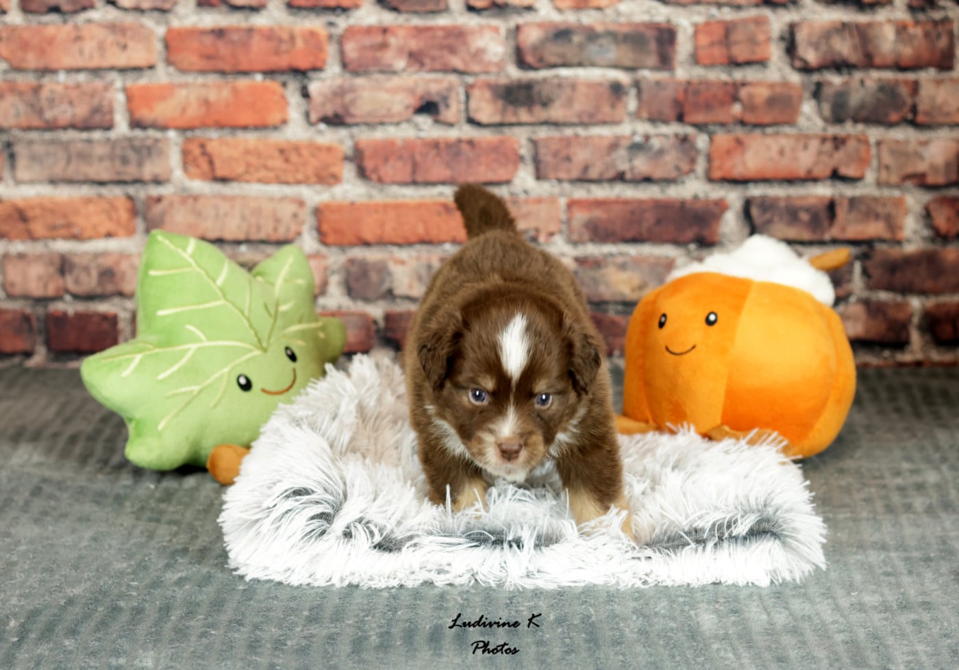 BENTLEY