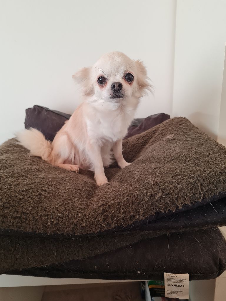 Publication : Des Merveilles de la Forge Auteur : Virginie