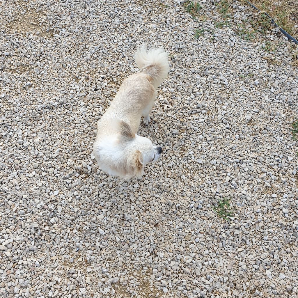 Publication : Des Merveilles de la Forge Auteur : Virginie