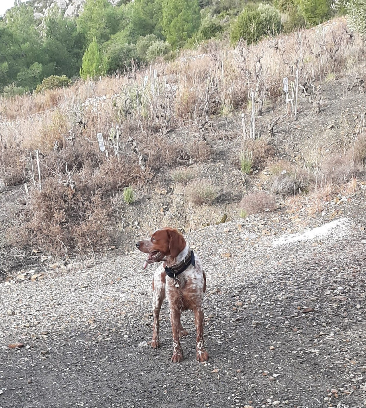 Publication : Easy Lover Auteur : Easy Lover