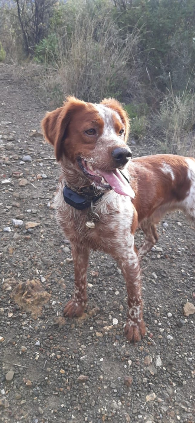 Publication : Easy Lover Auteur : Easy Lover