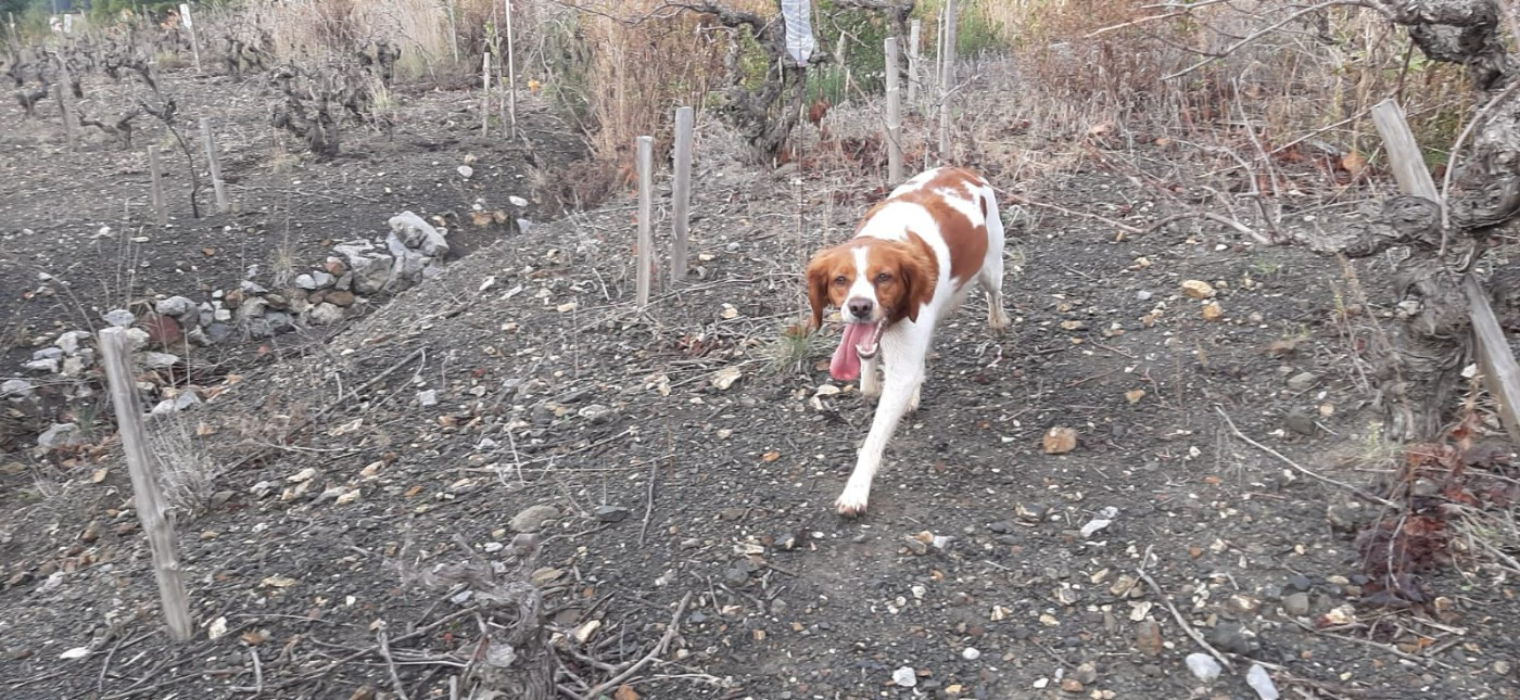 Publication : Easy Lover Auteur : Françoise Gaubert