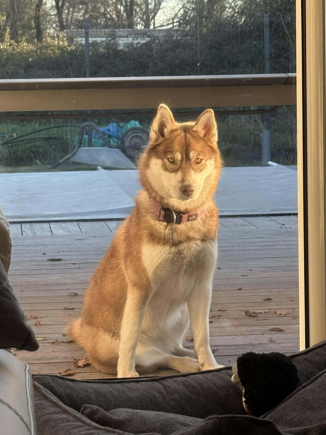 Alcateia Das Neves Ariel