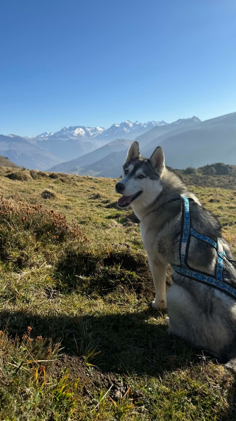 Alcateia Das Neves U'vaia