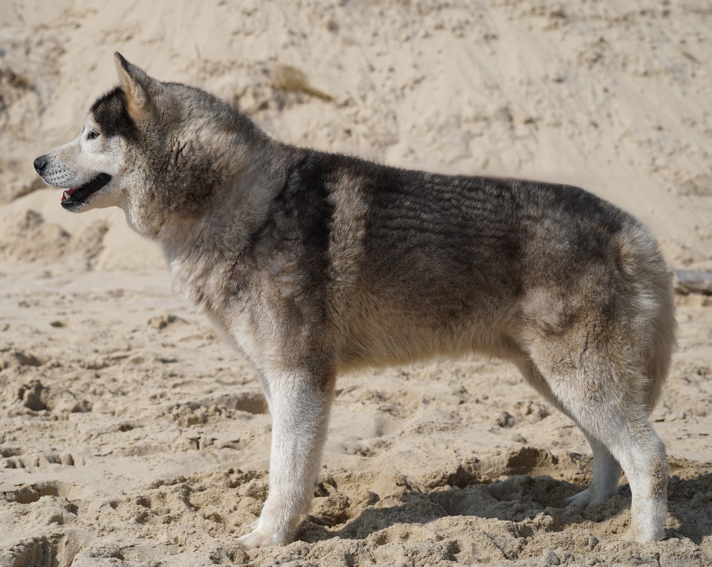 Rio just of l'other side of the way