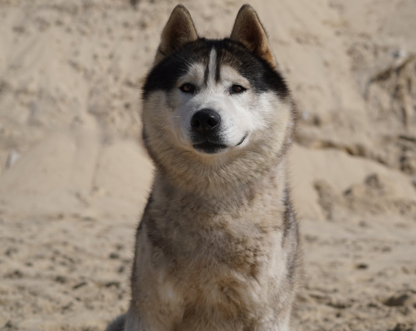 Rio just of l'other side of the way