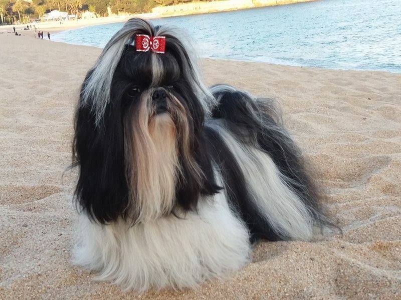 Publication : (Sans Affixe)