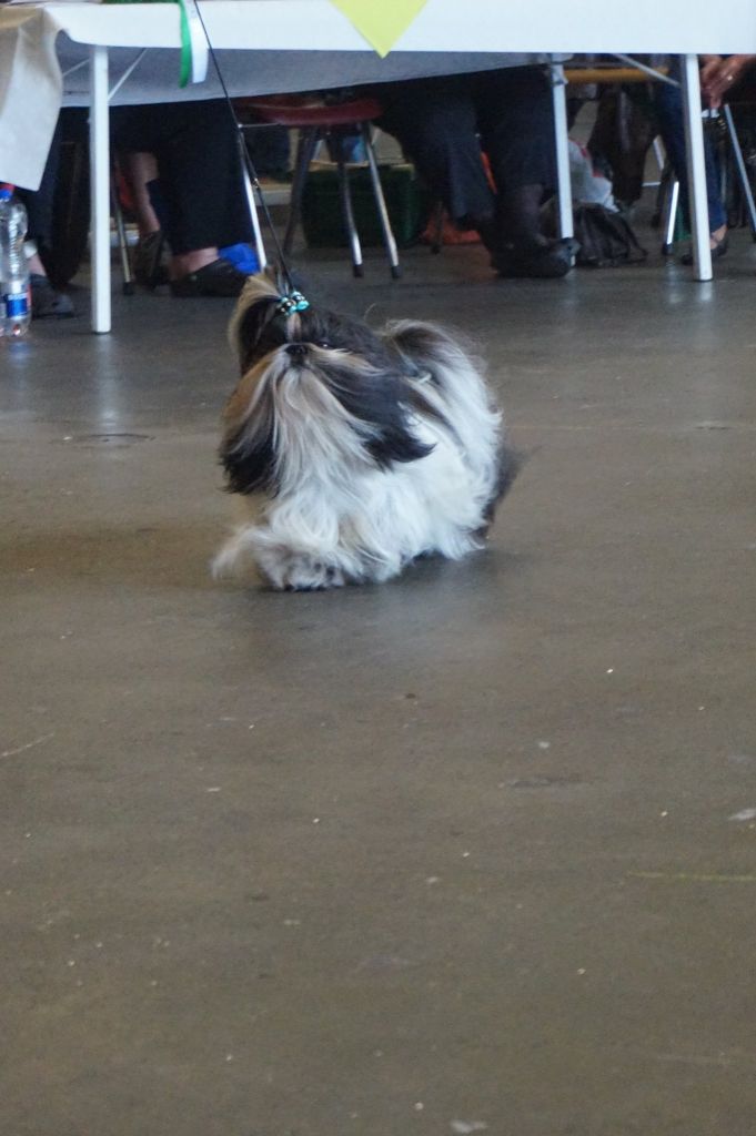 Publication : (Sans Affixe)