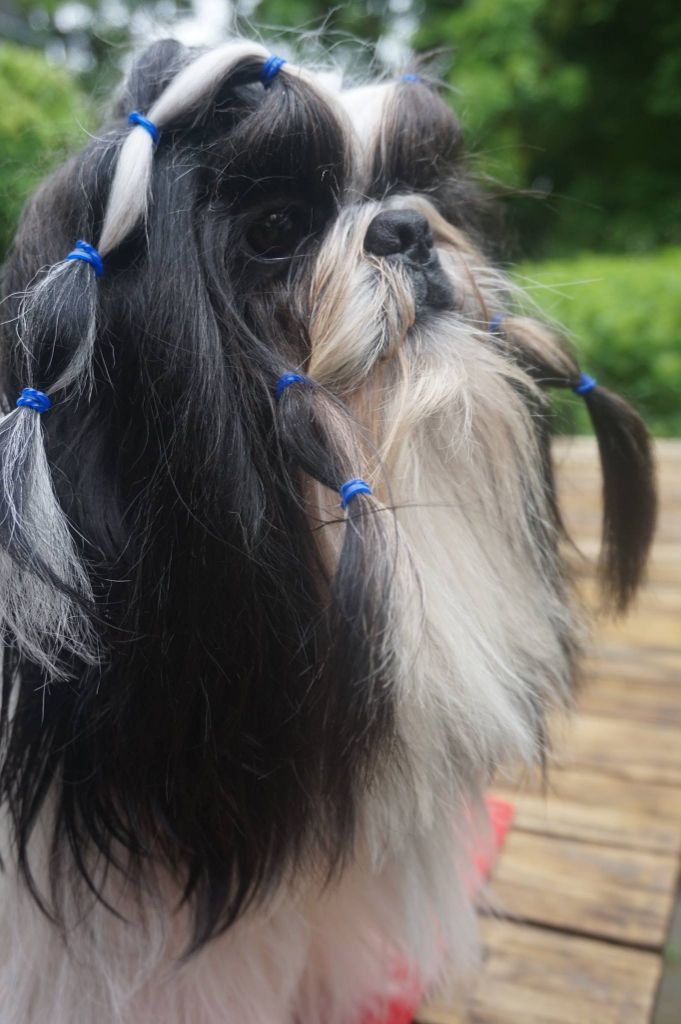 Publication : (Sans Affixe)