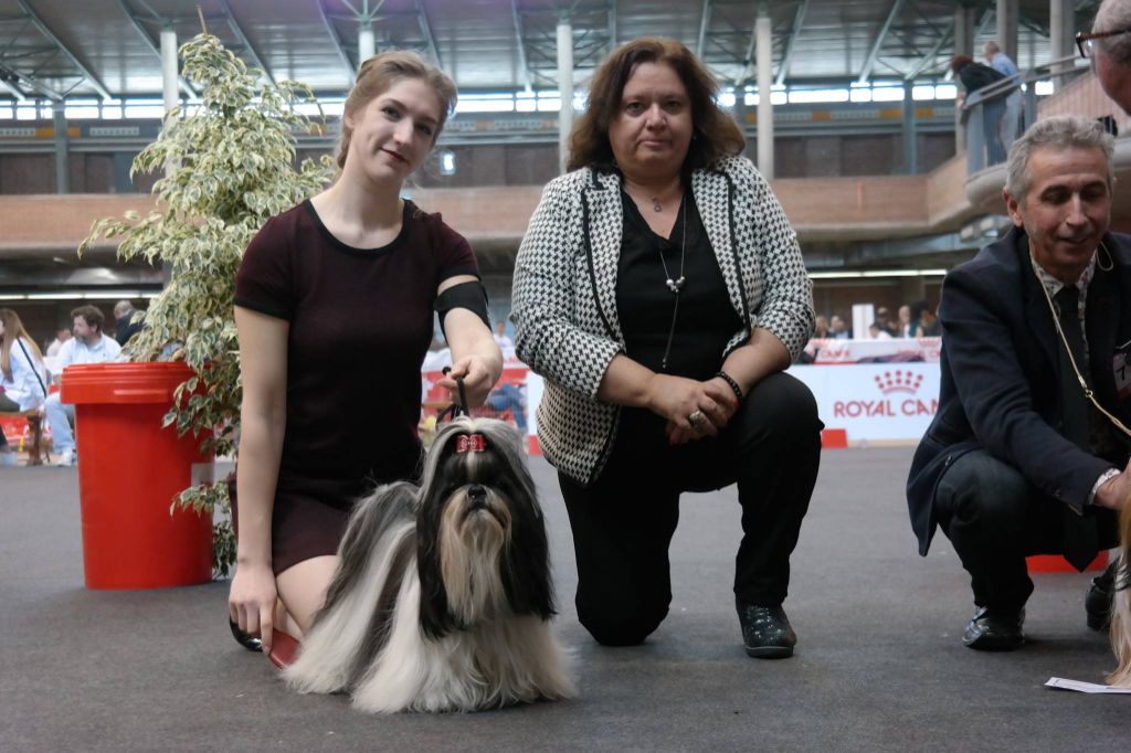 Publication : (Sans Affixe)