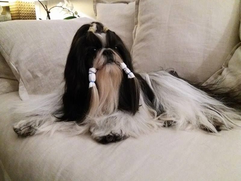 Publication : (Sans Affixe)