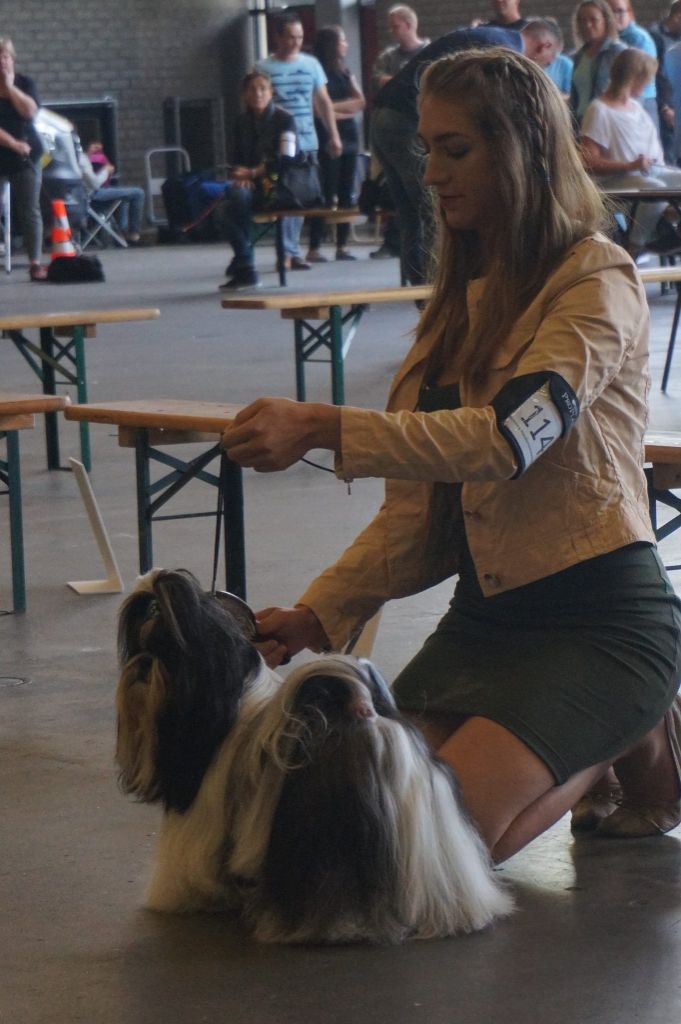 Publication : (Sans Affixe)