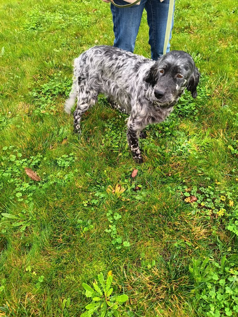 Radja Du Sud Touraine