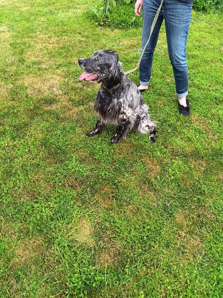 Ulla Du Sud Touraine