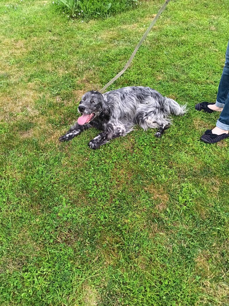 Ulla Du Sud Touraine