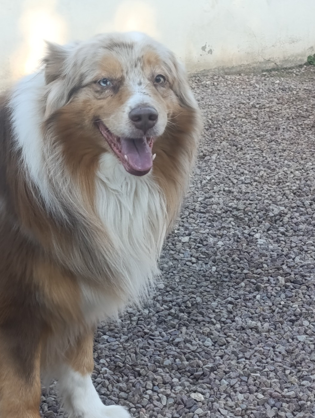 Poker Des Légendes Vroulonnes