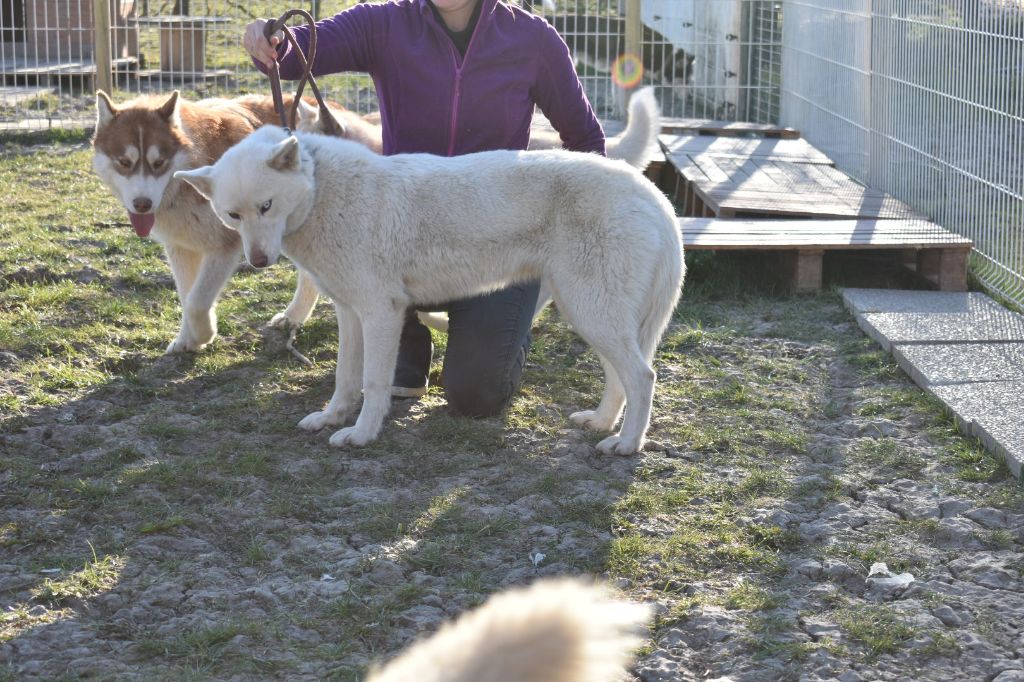 Publication : Des Brumes de Brocéliande