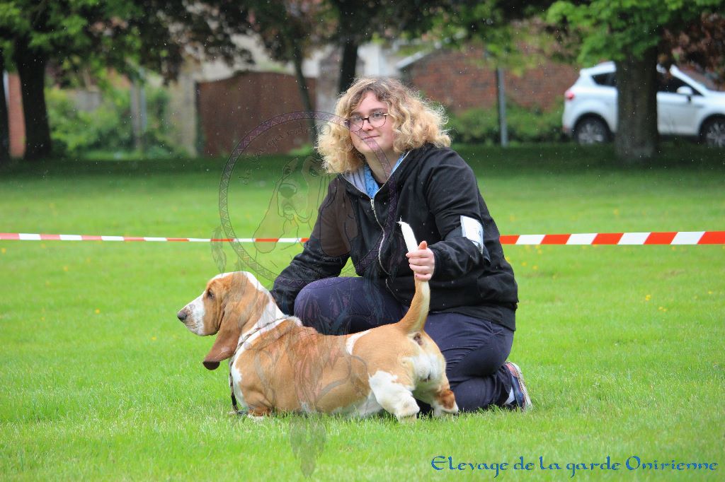 Magic Beam Rainbow oniria - 2ème Excellent Jeune Femelles