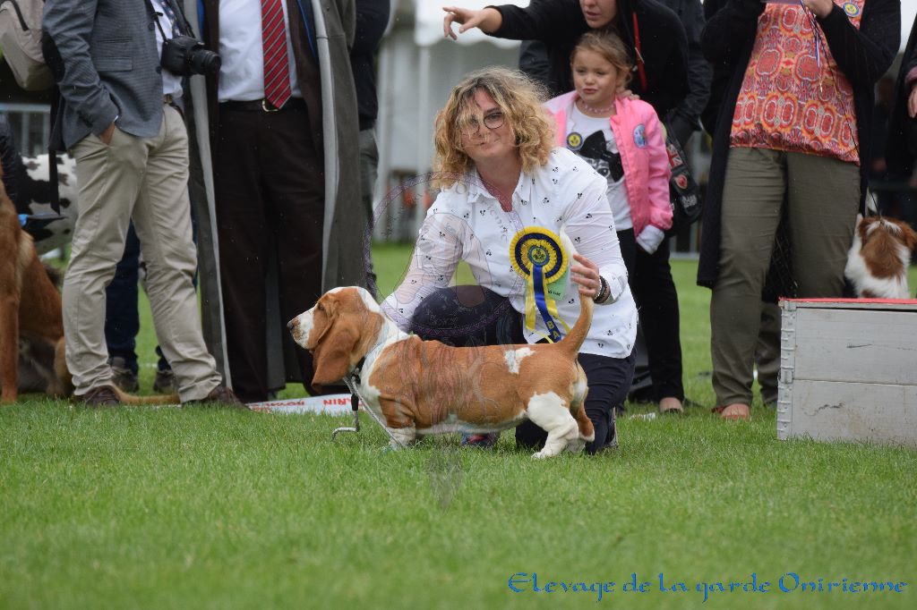 Magic Beam Rainbow oniria - 1ère Très Prometteur Baby Femelles, Meilleur de Race Baby