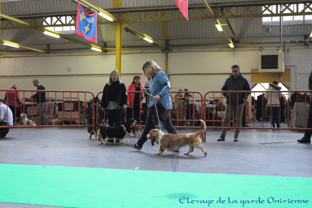 Magic Beam Rainbow oniria - 1ère excellent Jeune Femelles, Meilleur de race Jeune