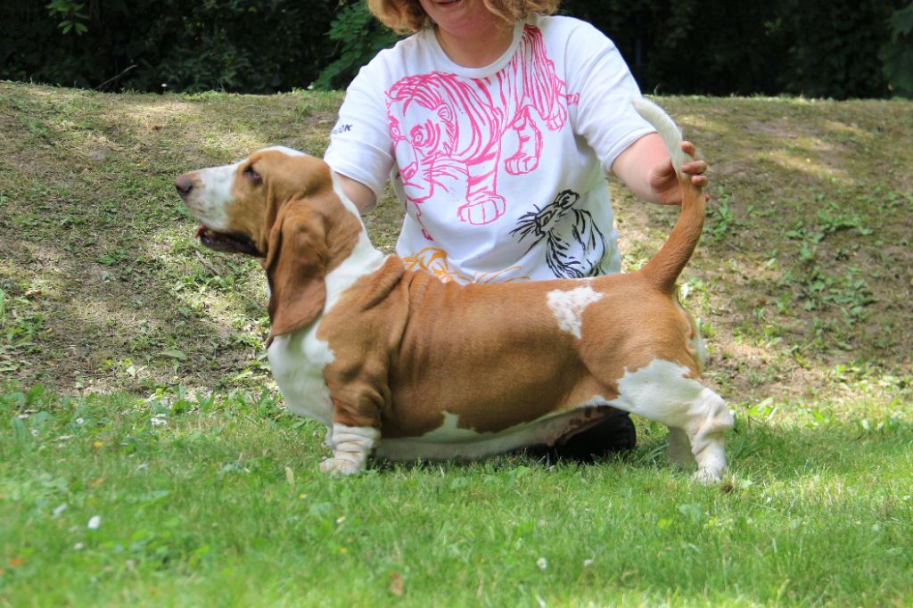 Magic Beam Rainbow oniria - 3eme excellent