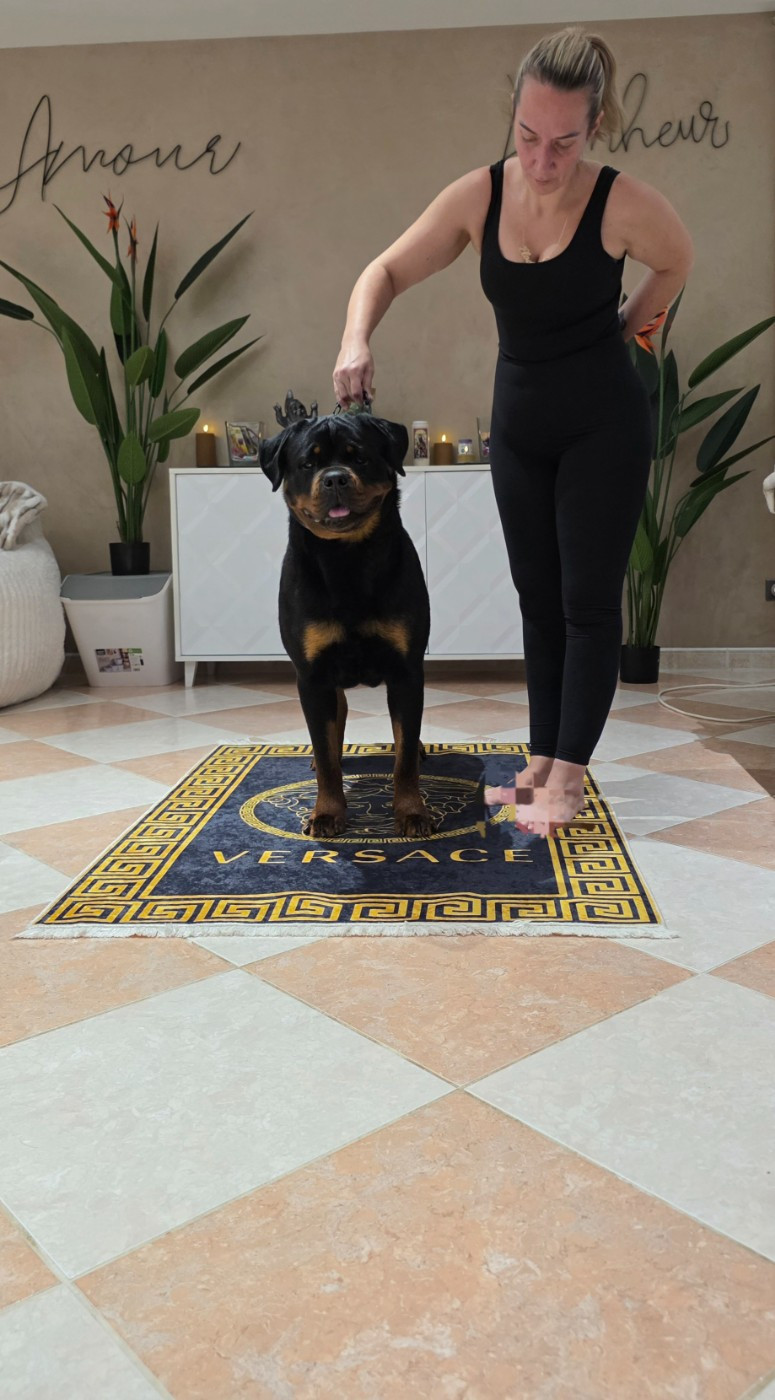 Publication : Des Diamants Noirs Del Matador Auteur : Nous