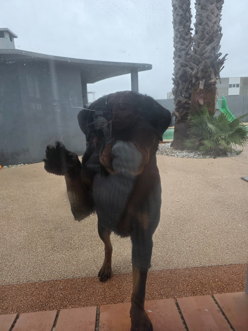 Publication : Des Diamants Noirs Del Matador Auteur : Nous