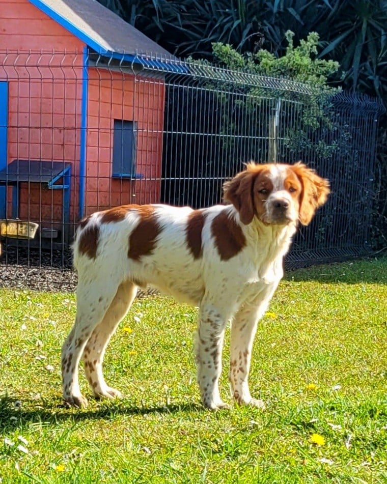 ASLAN  Des Fonds De Heurtevent