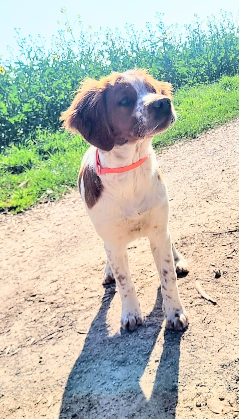 ASLAN  Des Fonds De Heurtevent