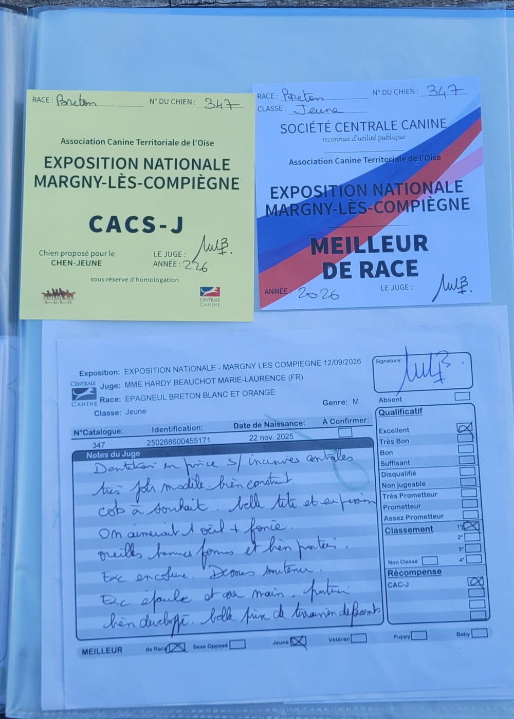 ASLAN Des Fonds De Heurtevent - CACS MEILLEUR JEUNE MEILLEUR DE RACE