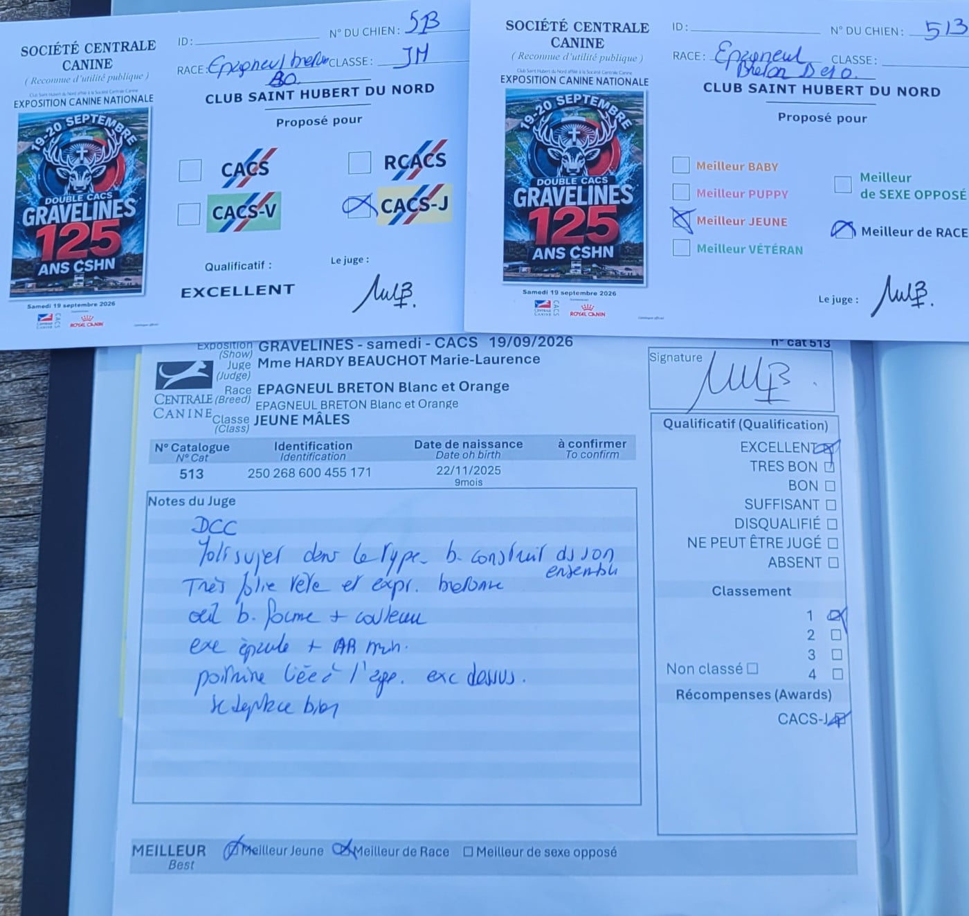 ASLAN Des Fonds De Heurtevent - CACS MEILLEUR JEUNE MEILLEUR DE RACE