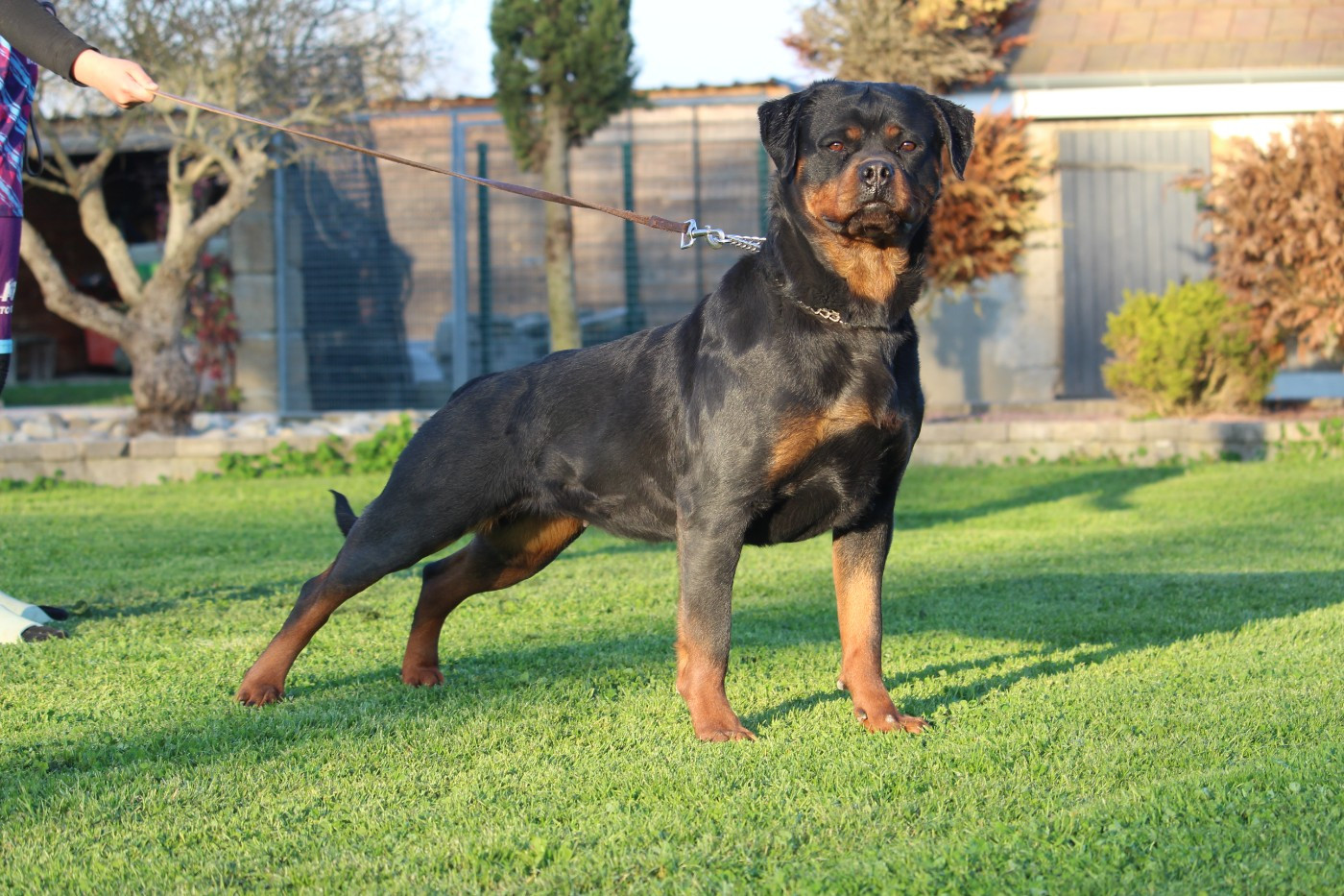 Victoria Of Legend Mysteria