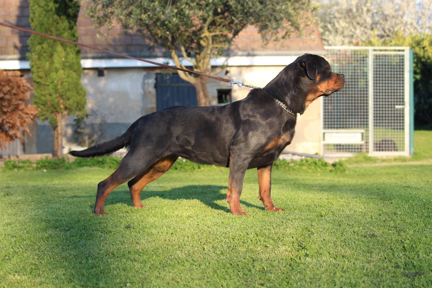 Victoria Of Legend Mysteria