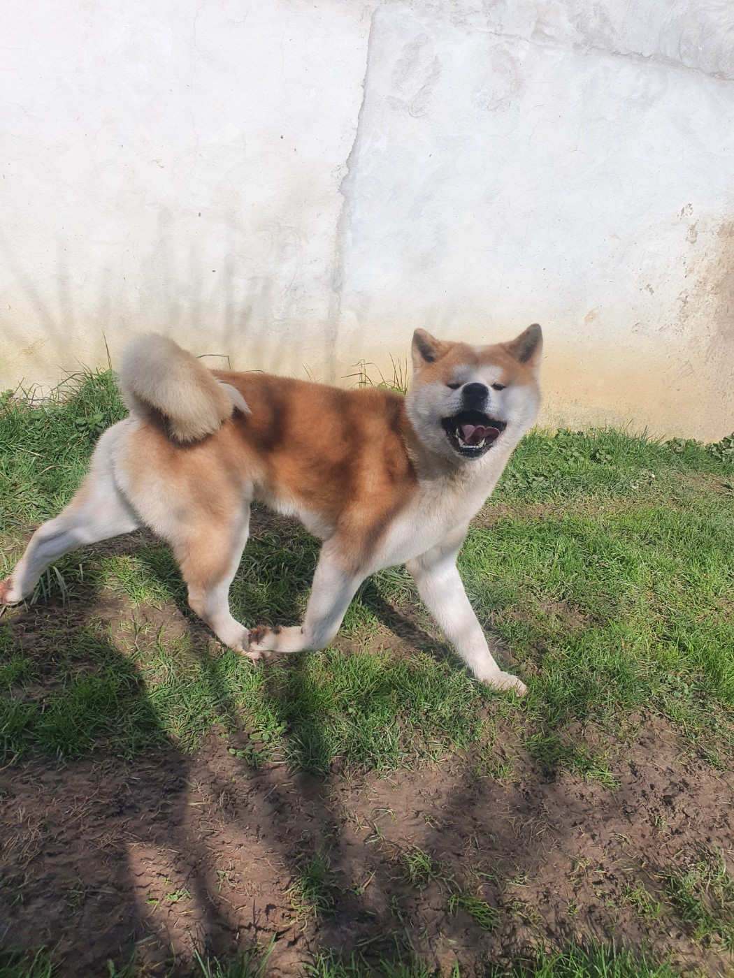 taichimaru go (Sans Affixe)